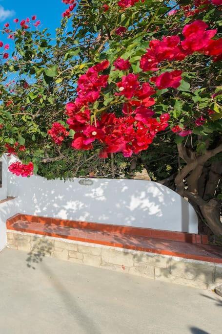 Greek Style Ground Floor Apartment & Pool Іялісос Екстер'єр фото